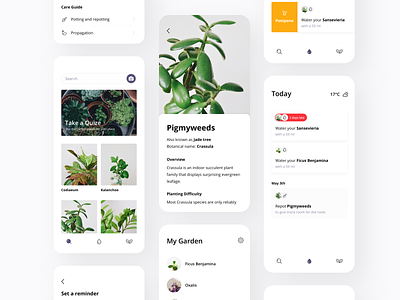 Plants app app cards care guide catalogue flowers garden ios mobile plants postpone prototype reminder search ui ux watering