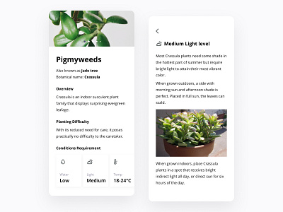 Plants Care app - Plant details app cards care guide flowers garden ios mobile plants prototype slider sun light temperature ui ux watering