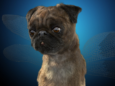 3D Pug