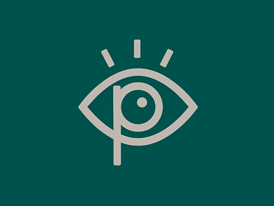 Pennridge Family Eye Care brand guidelines branding icon illustration visual identity