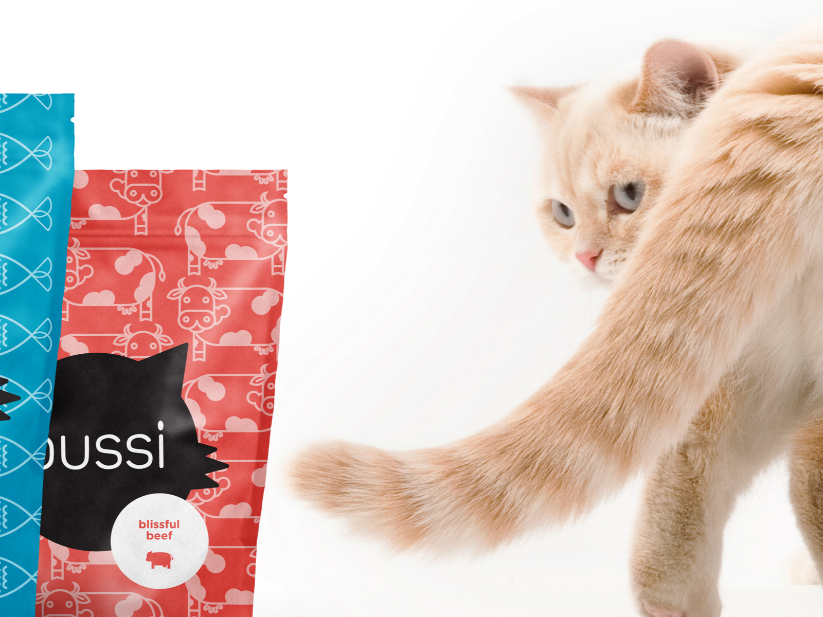 Pussi Fancy Cat Food by Ellie Dupler on Dribbble