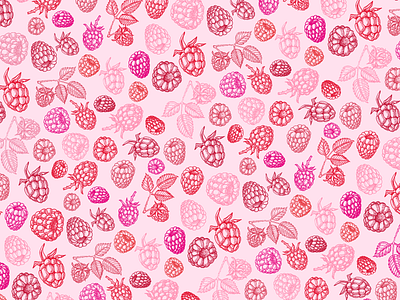 Raspberries pattern branding food illustration jam natural organic ornament package design pattern raspberries seamless vector vector illustration