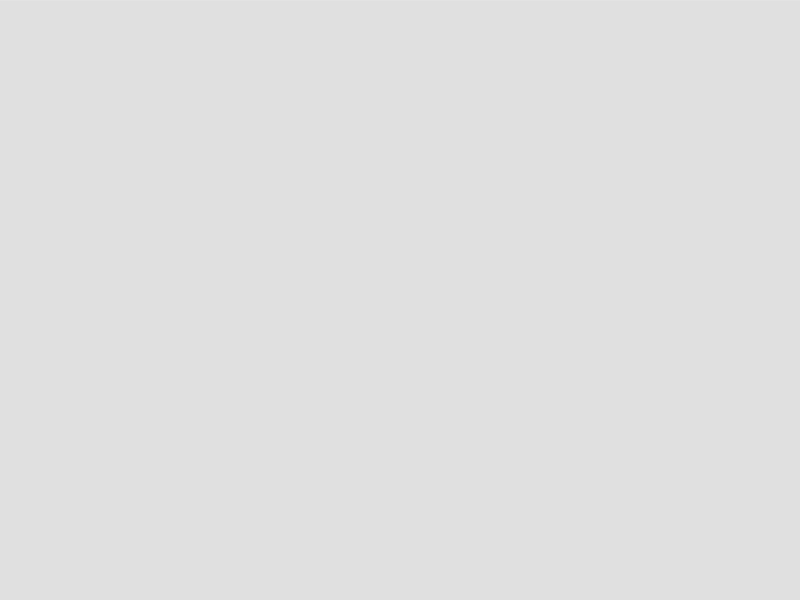 Mm motion design type design animation type motion graphics design typography