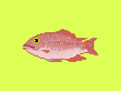 Red Snapper 2d character design fish flat game art icons illustration logo minimal pixel art