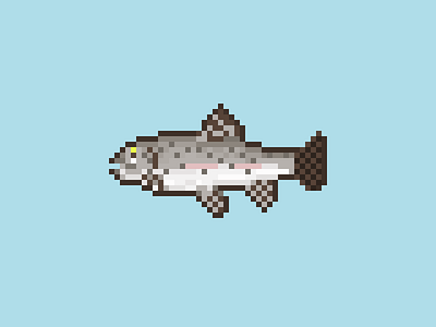 Trout