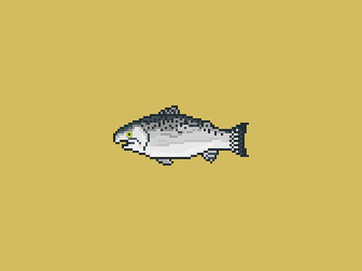 Salmon 2d character design dribbble flat game art game design icon illustration minimal pixel art