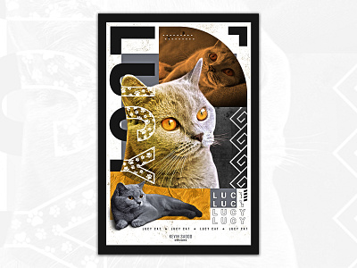 Lucy the Cat Poster advertisment branding cat concept magazine cover photoshop poster poster art poster design typogaphy