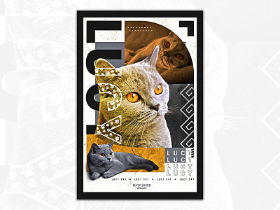 Lucy the Cat Poster