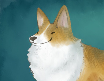 Corgi Sketch corgi cute dog pet