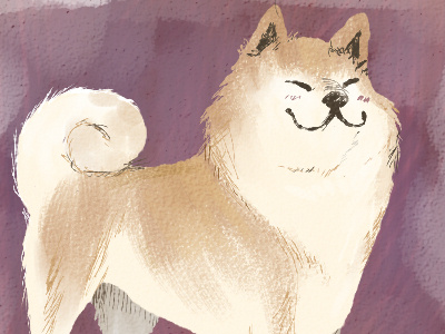 Fat Akita dog sketch