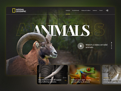 National Geographic Website Redesign - Exploration animals animals website ui uidesign uiux uiux design web page web page design webdesign website website design wildlife wildlife website