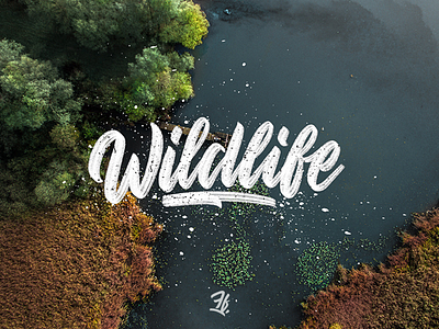 Handlettering Wildlife