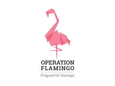 Operation Flamingo branding identity illustration logo