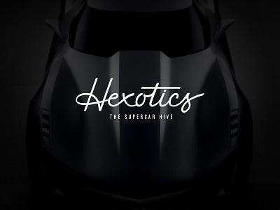 Hexotics Logo branding calligraphy car hand lettering hexotic hive identity logo super car