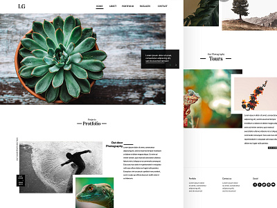 Photography clean design landing page photography ui uiux ux web