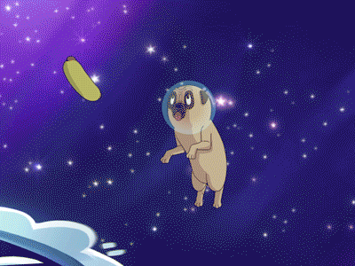Pug in Space 2d animation 3d animation animation astronaut hot dog motion graphics pug space