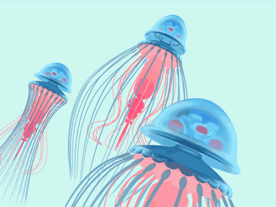 "Lovely" Jellyfish