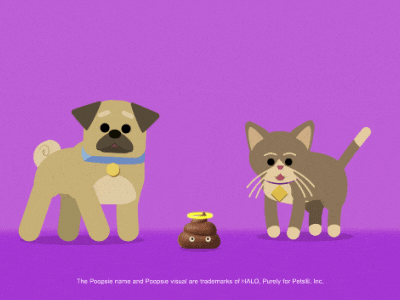 HALO Pet Food - Poopsie 2d 2d animation animation cat character character animation dog illustration motion graphics pet portland