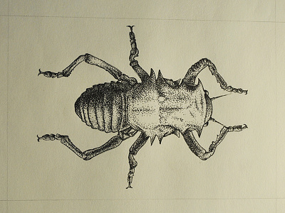 Enyaliopsis beetle bug dots insect pointillism