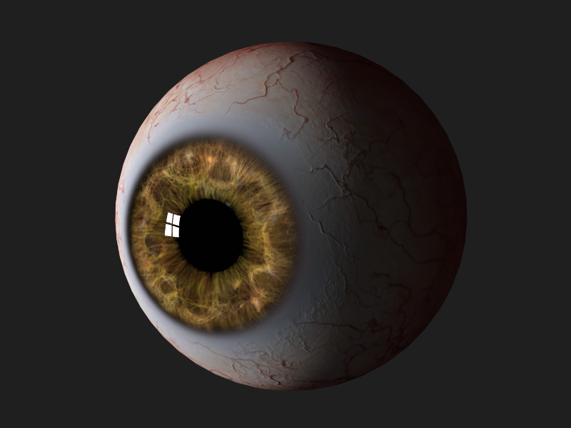 Close Up View Of A Human Eye By Bram Van Vliet On Dribbble