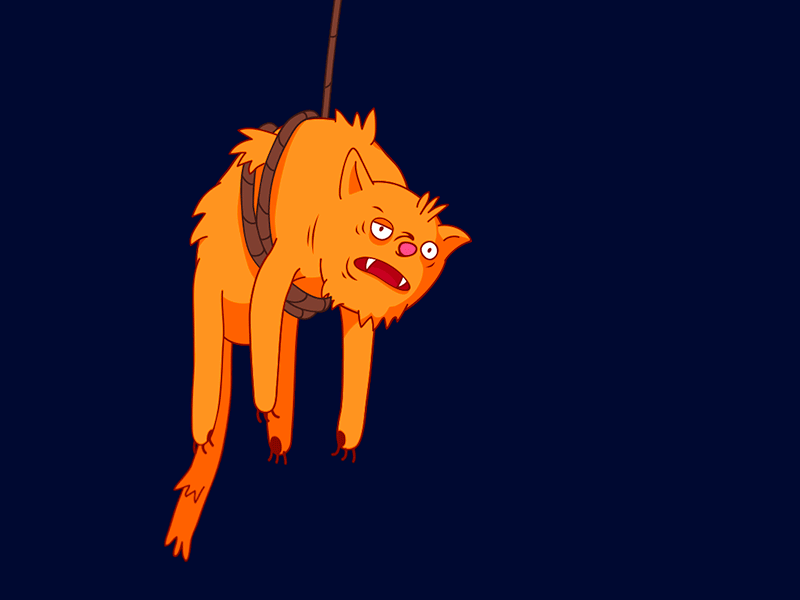 scared orange cat gif