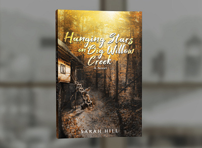 Hanging Stars on Big Willow Creek by Sarah Hill book book cover book cover design book covers cover design graphic design photosop professional professional book cover design