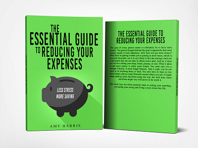 The Essential Guide to Reducing Your Expenses by Amy Harris book book cover cover cs6 design graphic design photosop photosop cs6 professional professional book cover design