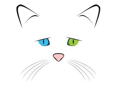 Van Cat cat illustration van