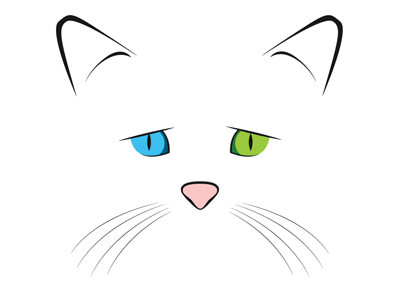 Van Cat by Ugur Akdemir on Dribbble