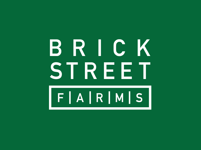 Brick Street Farms typography logo branding