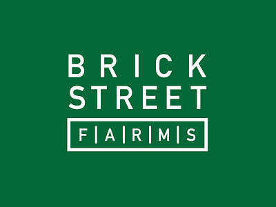Brick Street Farms branding logo typography