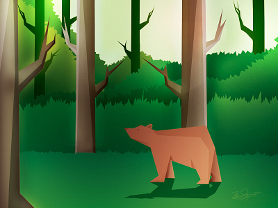 Brown Bear. bear forest illustration