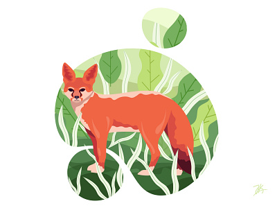 The trickster, bengal fox animal art branding character design forest fox fox logo graphic design illustration minimal tree vector