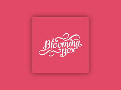 Blooming Box logo design box cliography creative design designer logo logos pink swirls typo typography