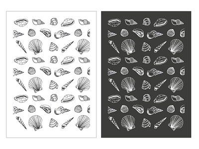 Shell Pattern hand drawn linear ocean pattern seaside shells