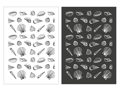 Shell Pattern