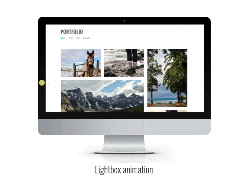 Lightbox Animation designs, themes, templates and downloadable graphic elements on Dribbble
