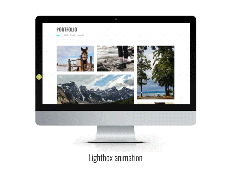 Lightbox Animation