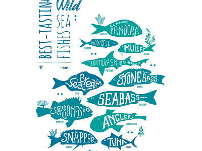 The best-tasting wild sea fishes cooking design drawing fishes food illustration lettering slowfood type typography vector