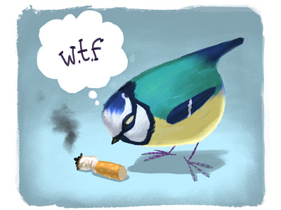 Butt and Bird clip studio paint illustration
