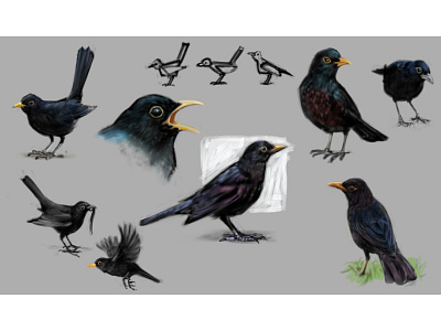 Blackbird Sheet clip studio paint illustration