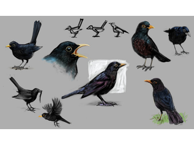 Blackbird Sheet