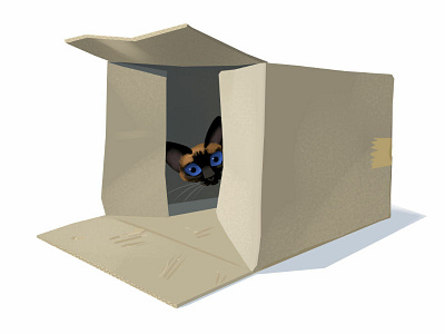 Cat Cave