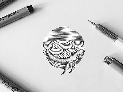 Whale Hello There black and white illustration ink pen sketch whale