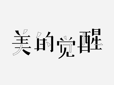 美的觉醒 typedesign