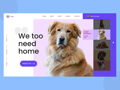 Puppy Web page app branding creative design gradient illustrator photoshop typogaphy uiux vector