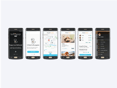 Puppy Delivery - School Product Concept from way back branding mobile app responsive ux