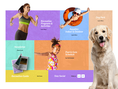 Grid (WIP) cards color design dog grid people ui