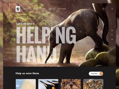 WWF animal cards design elephants hero images landing photography photoshop typography ui water wwf zoo