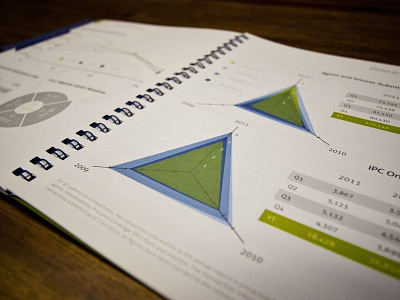 Annual Report Radar Graph annual report graph offset printing radar graph